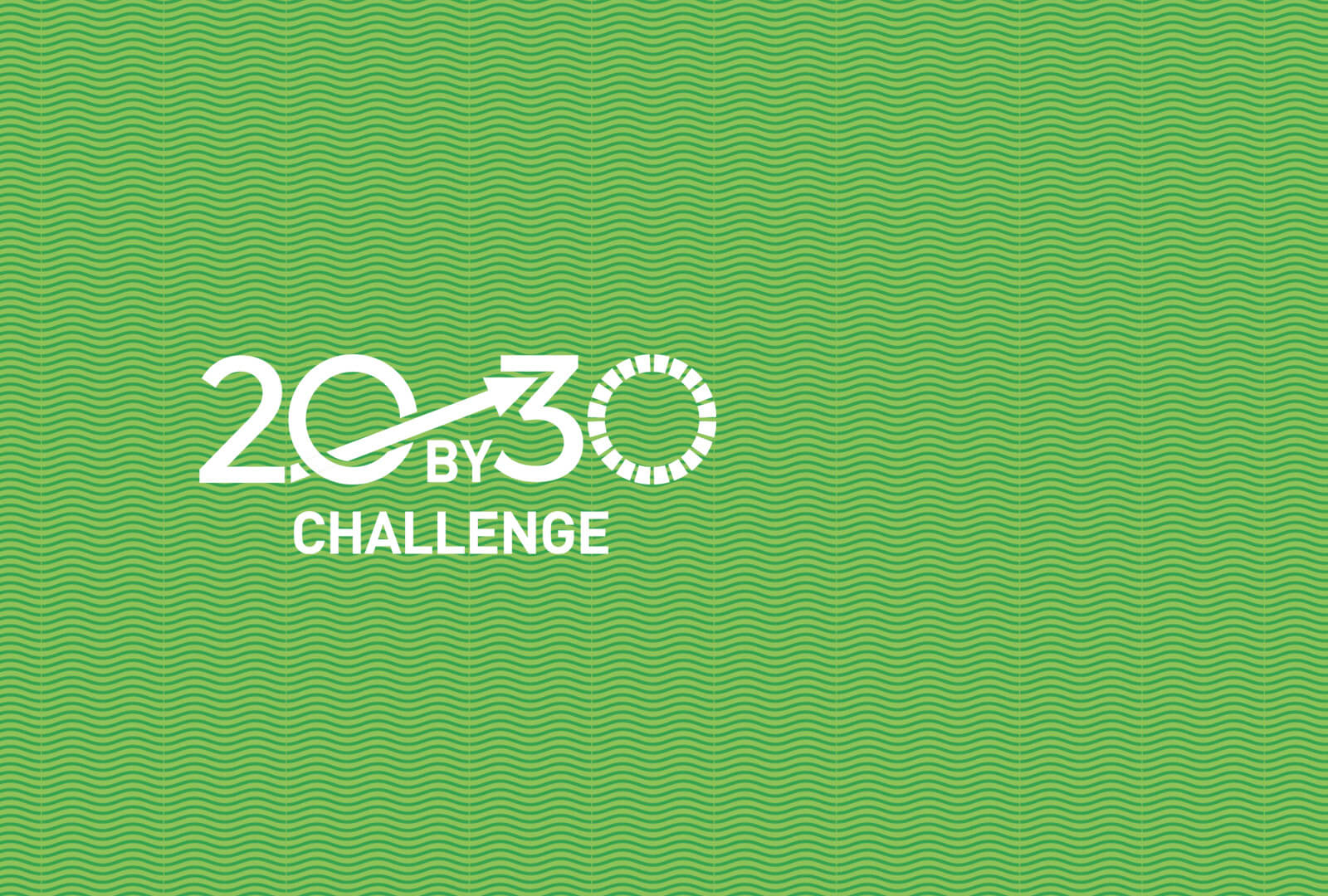 20 By 30 Challenge
