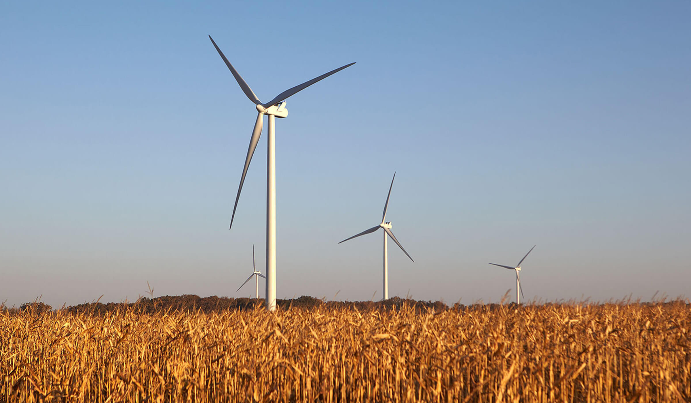 wind turbines in brown field with clear blue sky
